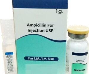 Ampicillin Injection Manufacturers