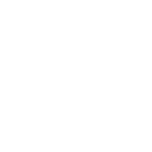 Innovative Ingredients & Solutions